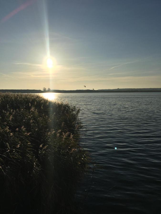 Ferienwohnung am Küstenwald - Insel Usedom Trassenheide Exterior foto