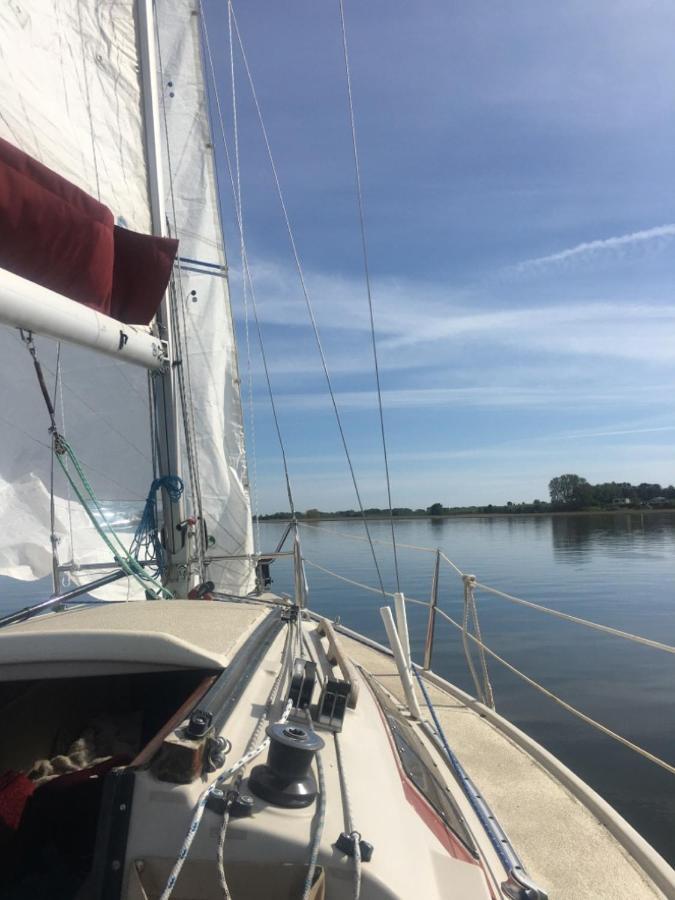 Ferienwohnung am Küstenwald - Insel Usedom Trassenheide Exterior foto