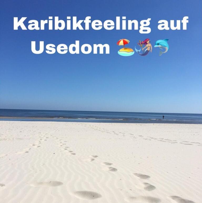 Ferienwohnung am Küstenwald - Insel Usedom Trassenheide Exterior foto