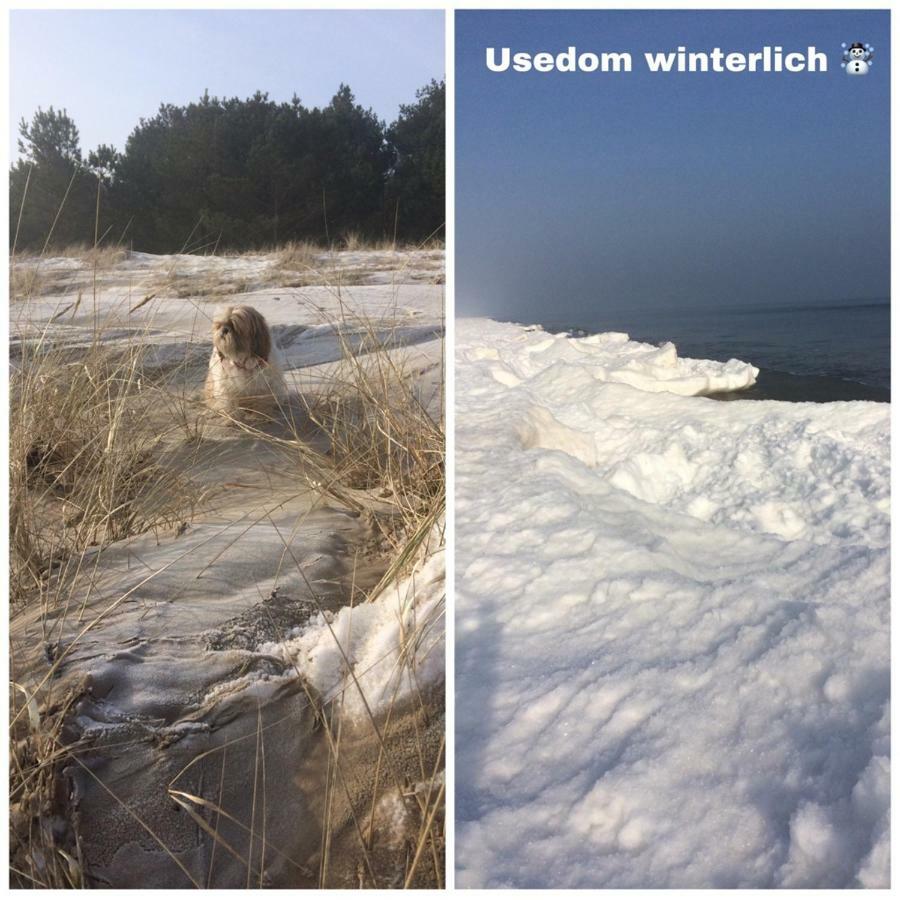 Ferienwohnung am Küstenwald - Insel Usedom Trassenheide Exterior foto